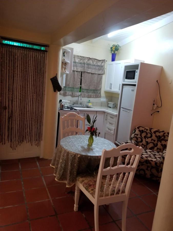 Rio Guesthouses Christ Church Extérieur photo